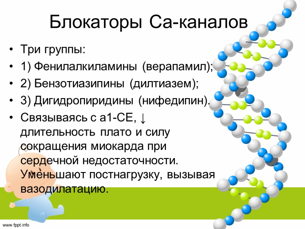 Блокаторы Са-каналов Три группы: 1) Фенилалкиламины (верапамил); 2) Бензотиазипины (дилтиазем); 3) Дигидропиридины (нифедипин). Связываясь